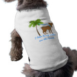 long walks on the beach dog clothing