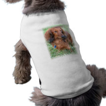 Longhaired Dachshund Dog Shirt