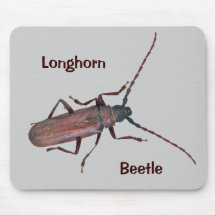 Longhorn Beetle Coordinating Items Mousepad