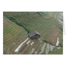 Longi Rice Terraces Card
