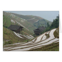 Longi Rice Terraces-Southern China-2 Cards