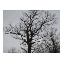 Longing Photo