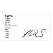 LongWhip103110, Name, Address 1, Address 2, Con... Business Card Templates