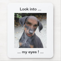 look into my eyes funny dog mousemat