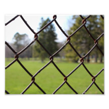 Looking Through the Fence Photo Print