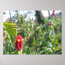 Lookouts Print
