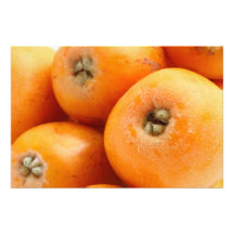 Loquats Photo Print