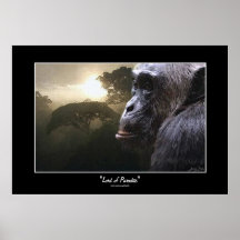 "LORD OF PARADISE" Chimpanzee Art Poster