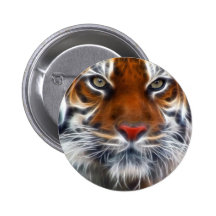 Lord of the Indian Jungles, The Royal Bengal Tiger Pin