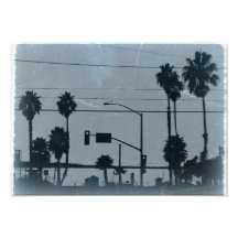 Los Angeles Palm Trees Photograph