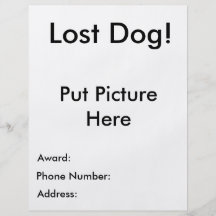 Lost Dog Flyer