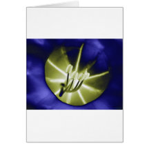 lost lily greeting card