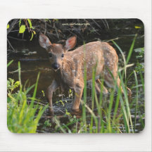 Lost Virginia Deer Fawn Baby Animal Wildlife Photo Mouse Pads