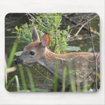 Lost Virginia Deer Fawn Baby Animal Wildlife Photo Mousepad
