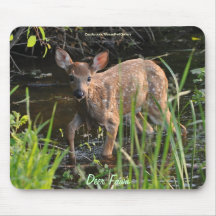 Lost Virginia Deer Fawn Baby Animal Wildlife Photo Mousepads