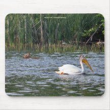 Lost Virginia Deer Fawn & Pelican Wildlife Photo Mousepad