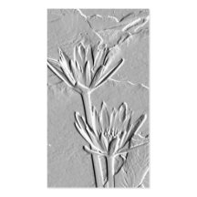 Lotus Blossoms/Embossed-Like Photo Business Card