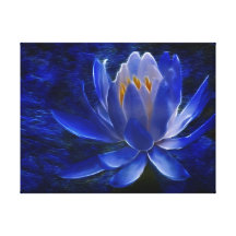 Lotus flower and its meaning stretched canvas prints