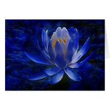 Lotus flower and its meaning cards