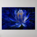 Lotus flower and its meaning poster