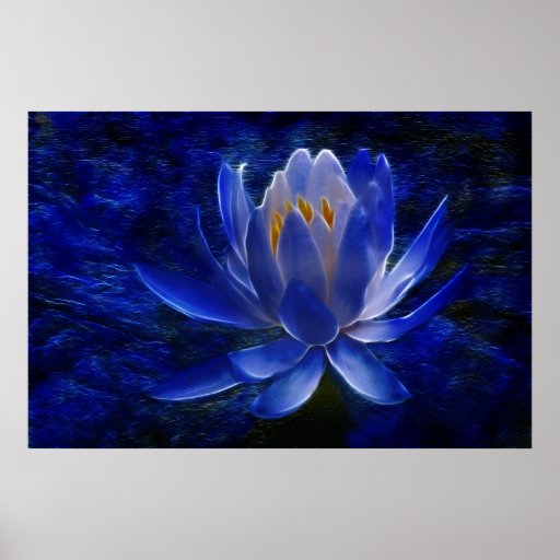 Lotus flower and its meaning poster