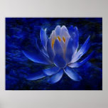 Lotus flower and its meaning print