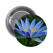 Lotus flower and meaning buttons