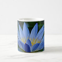 Lotus flower and meaning coffee mug