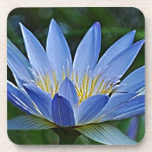 Lotus flower and meaning drink coaster