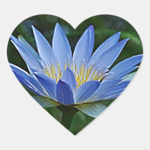 Lotus flower and meaning heart stickers