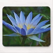 Lotus flower and meaning mouse pads