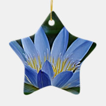 Lotus flower and meaning ornaments