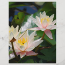 Lotus flower and meaning personalised flyer