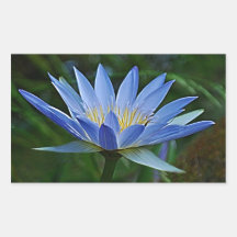 Lotus flower and meaning sticker