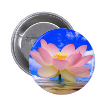 Lotus Flower Born in Water Buttons