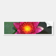 lotus  flower bumper stickers