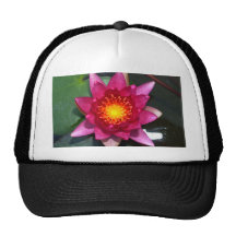 lotus  flower hat