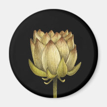 Lotus Flower - Magnet