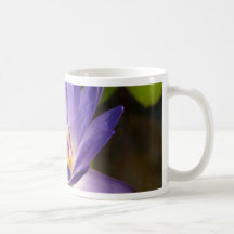 lotus  flower mugs