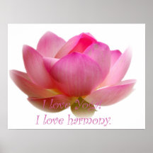 Lotus Flower Posters