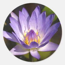 lotus  flower round sticker