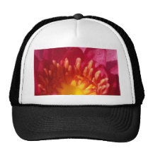 lotus  flower trucker hat