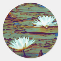 Lotus Flowers Sticker