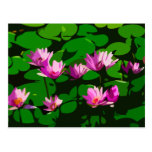 Lotus flowers - Vector art Post Cards
