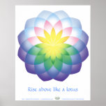 Lotus Poster