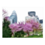 Louisville Ky Postcard