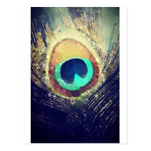 Love2Snap Peacock Feather Post Card