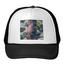 Love At First Sight Bird Hat