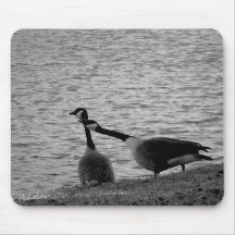 Love Birds B&W Mouse Pads