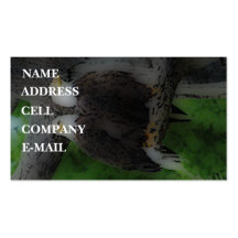 'Love Birds' Business Cards